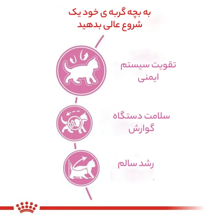 15986f450854d54985a8d59d749881c79b15e18b_1724849995