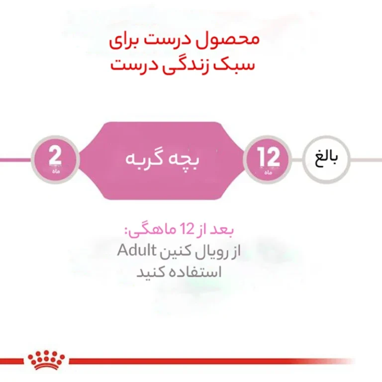 3b7d7ca612a15a2bff18f6b5ab5ce50f2a59ff16_1724849995