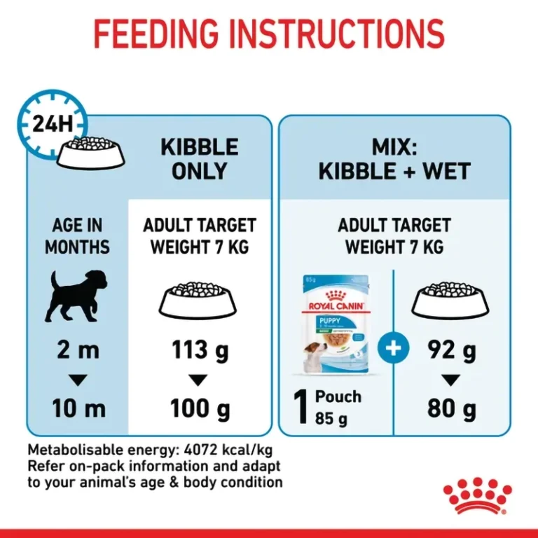 a855e03b-19e7-4223-9401-b1ef001ba203_DownloadAsJpg